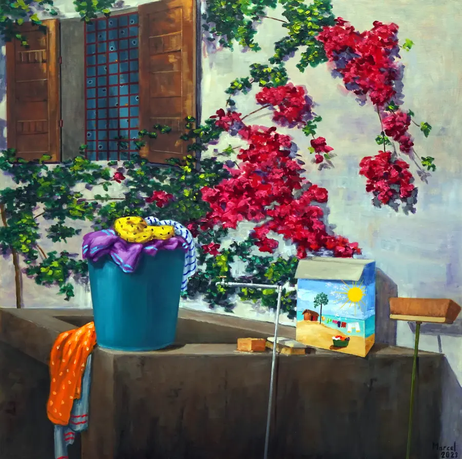 38 Bougainvilliers